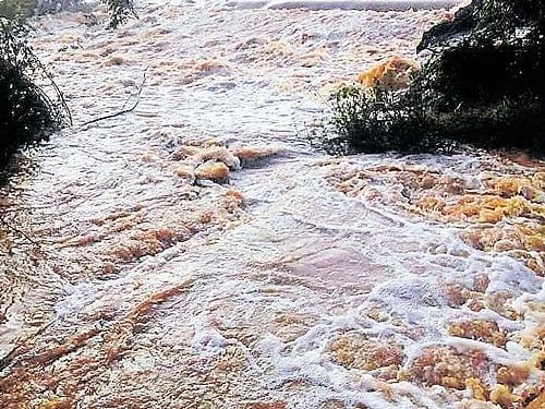 in full spate: Chikkatore stream near Huliyar in Chikkanayakanahalli taluk of Tumakuru district overflows following heavy rains that lashed the region in the early hours of Thursday. DH Photo