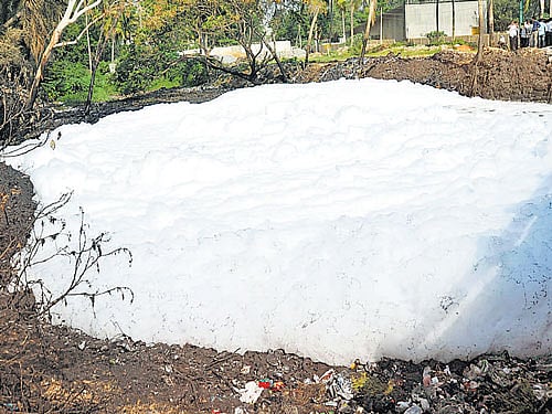 Following complaints by the public on social media, the chief minister asked Naik to visit the spot and attend to the problem. He also told the commissioner to submit an action-taken report.DH file photo