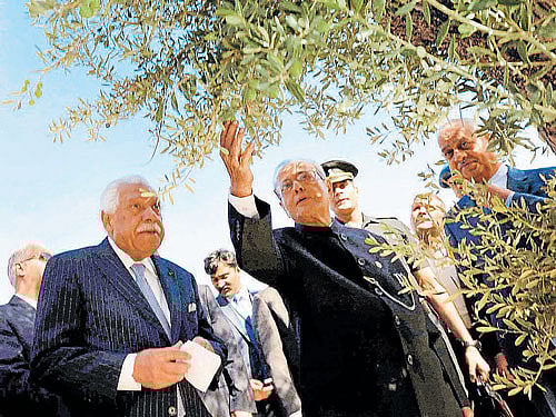 President PranabMukherjee during a tree conservation drive at the AlHussein Peace Park inAmman on Sunday. PTI