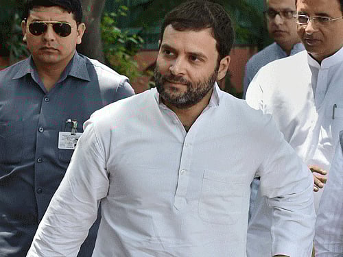 Rahul Gandhi. PTI File Photo.