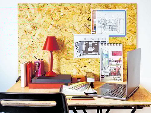 cheerful Bring in plants that require minimal care and sunlight, and plant them in colourful containers.