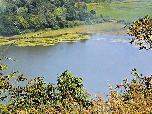 TRANQUIL Honnammana Kere in Kodagu district; Gavi Betta. PHOTOS BY AUTHOR