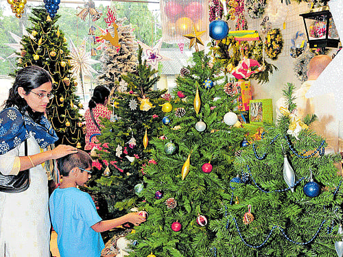 choices aplenty Customers taking a look at the trees at a store in Safina Plaza. DH Photo by Sk Dinesh