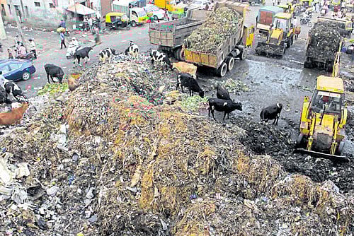 Heaps of garbage are being cleared by BBMP workers at the KR&#8200;Market  on Tuesday. KPN