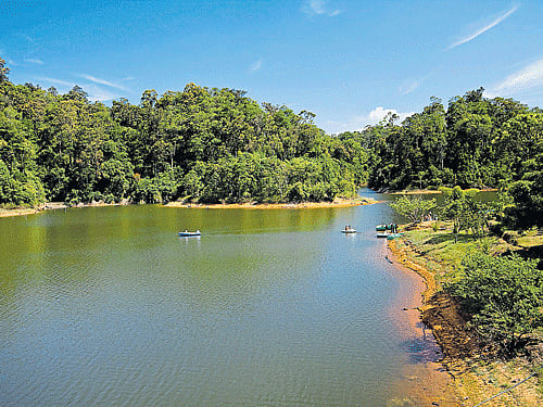 Physical sessions have started for classes 5 to 12 in rural areas and for classes 8 to 12 in urban areas of the state.