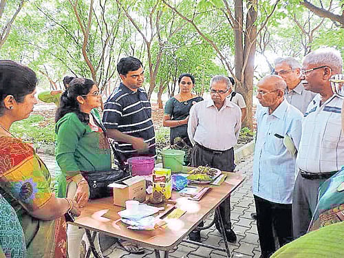 Volunteers of HaSiRu Mithra demonstrate waste segregation and composting methods to residents at a workshop in HSR Layout on Sunday. DH photo