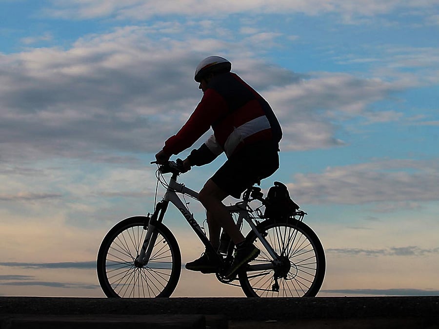Riding on strong sales in rural and semi-urban areas, and strong growth in the premium cycles segment, the company has witnessed 20 per cent growth in month-on-month sales in December 2015. File photo