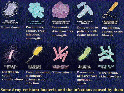 Some drug resistant bacteria and the infections caused by them. Source: longitudeprize.org
