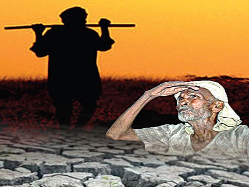 According to Chand, a agriculture economist, farmers benefited from rising international prices between 2005 and 2012, a period that saw 30 per cent increase in farm income. DH illustration