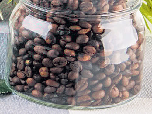 Coffee production to reach 3,80,600 tonnes