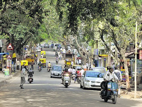 placement What Vyalikaval has going for it is the fact that it is well-connected to the centre of the city. dh photos by b k janardhan