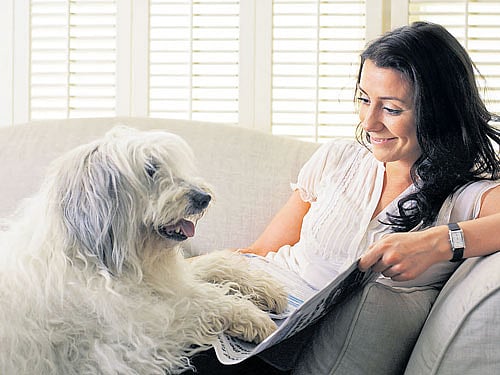 Dogs are known to enjoy company, so make sure you spend quality time with them.