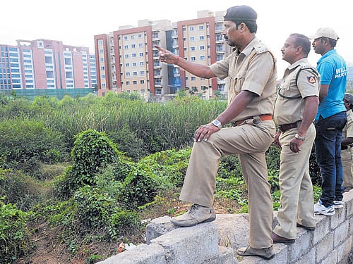 Another cage to lure in leopard