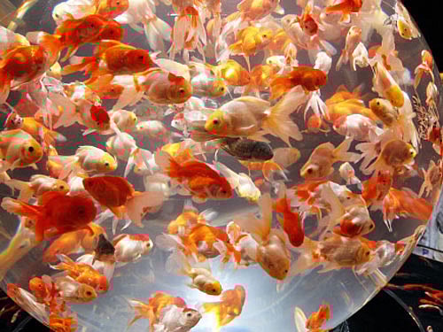 image for representation