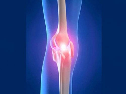 To support bone generation, researchers worldwide are developing living implants. Image for representation. courtesy:twitter
