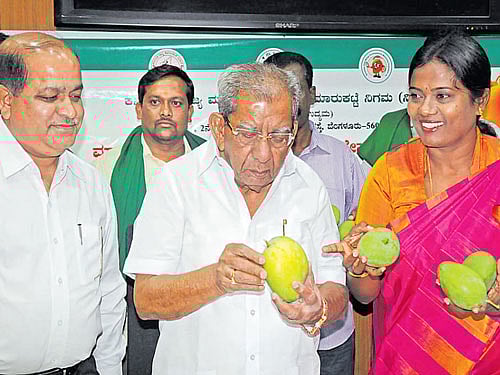 Horticulture Minister Shamanur Shivashankarappa, Horticulture Director S B Boomanahalli and Mango Development and Marketing Corporation chairperson M Kamalakshi Rajanna at a seminar in the City on Tuesday. dh photo