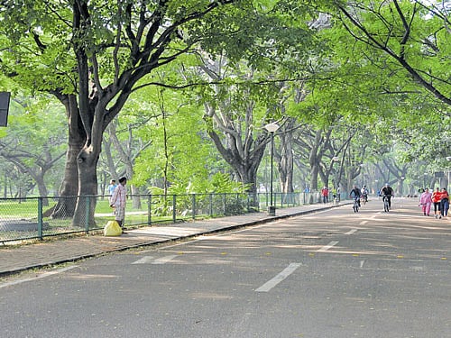 This tricky question sparks a flurry of counter-questions, linked almost entirely to the challenges of traffic management in the park's vicinity. DH photo