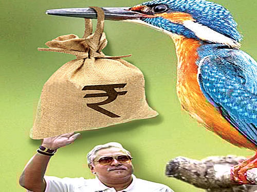 Fraudster or fall guy?