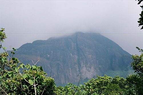 The Agasthyamalai Biosphere Reserve (ABR) was established in 2001 and is spread across the two states of Kerala and Tamil Nadu. Image courtesy: Wikipedia