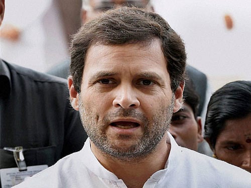 Rahul Gandhi, PTI File Photo