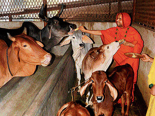 Ramachandrapura Mutt seer Raghaveshwara Bharati at his ashram in the city on Thursday. dh photo