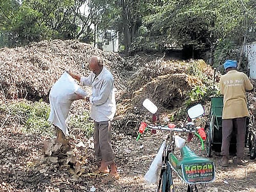 Workers dump dry leaves collected from various places at the composting unit in Koramangala. DH PHOTO