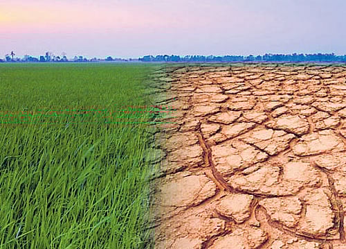 Bottom rung: Climate scientists have frequently warned that climate change could hit the poorest the hardest.