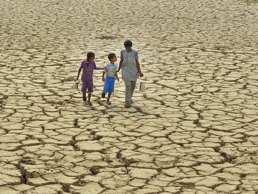 The Odisha government has confirmed four deaths due to sun stroke, however, the suspected casualty list in the state due to heat wave has grown from 79 to 88. PTI file photo
