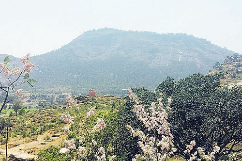 peaceful A view of Nandi Hills, where Omkar Swami sought solace; photo by author