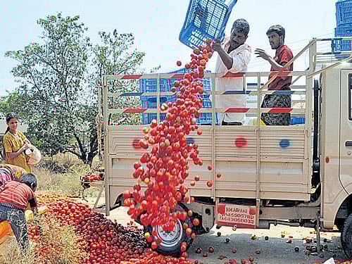 It is a tough, but heavily loaded question. Loaded, because repeated studies by city-based universities and scientific institutions have clearly indicated heavy metal contamination in vegetables sold in big markets across Bengaluru.