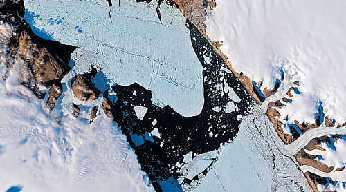tracking the ice An ice island that is being calved off the Petermann Glacier.