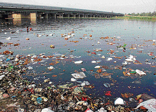 'Engaging ragpickers is way forward'