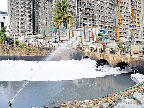 A foam-filled Bellandur lake. DH file PHOTO