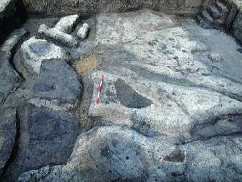 Researchers with the institute found that the paddy was divided into parts with different shapes, each covering less than 10 square meters. Image courtesy Twitter.