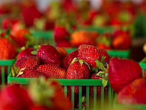 Silk's unique crystalline structure makes it one of nature's toughest materials. Fibroin, an insoluble protein found in silk, has a remarkable ability to stabilise and protect other materials while being fully biocompatible and biodegradable, they said. Image courtesy Twitter.