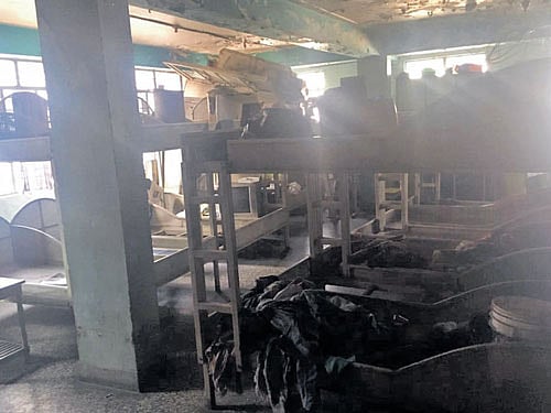 The secret brothel that was being run at Shiva Palace Deluxe Lodge near Chamarajpet in the city. DH photo