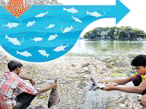 Bengaluru doesn't fish in its troubled waters