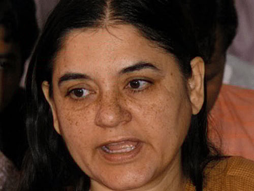 Union Ministers Maneka Gandhi and Prakash Javadekar locking horns over culling of animals including nilgai, animal rights bodies today expressed 'shock' over the Environment Ministry's stand saying such killings will not help mitigate human-animal conflict. FIle Photo