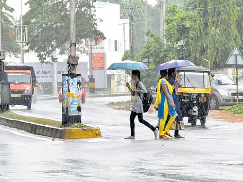 cool showers: Mysuru received moderate rain towards evening on Saturday. dh Photo