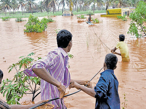 The thunderstorm accompanied by heavy rains lashed Bihar since yesterday killing 57 people, while 24 others sustained injuries, Principal Secretary (Disaster Management) Vyasji told reporters. DH file photo