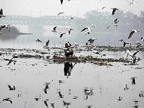 The NGT had observed that despite spending heavily, the pollution level in the river had become worse. It then issued directions to the DJB not to spend more than Rs 50 crore on any project related to the cleaning of Yamuna. File