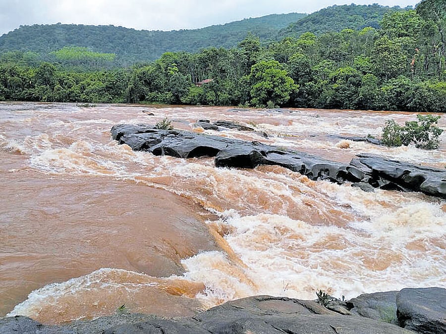 River Bhadra flowing in spate at Ambatheertha on the outskirts of Kalasa in Chikkamagalur district on Saturday. DH photo
