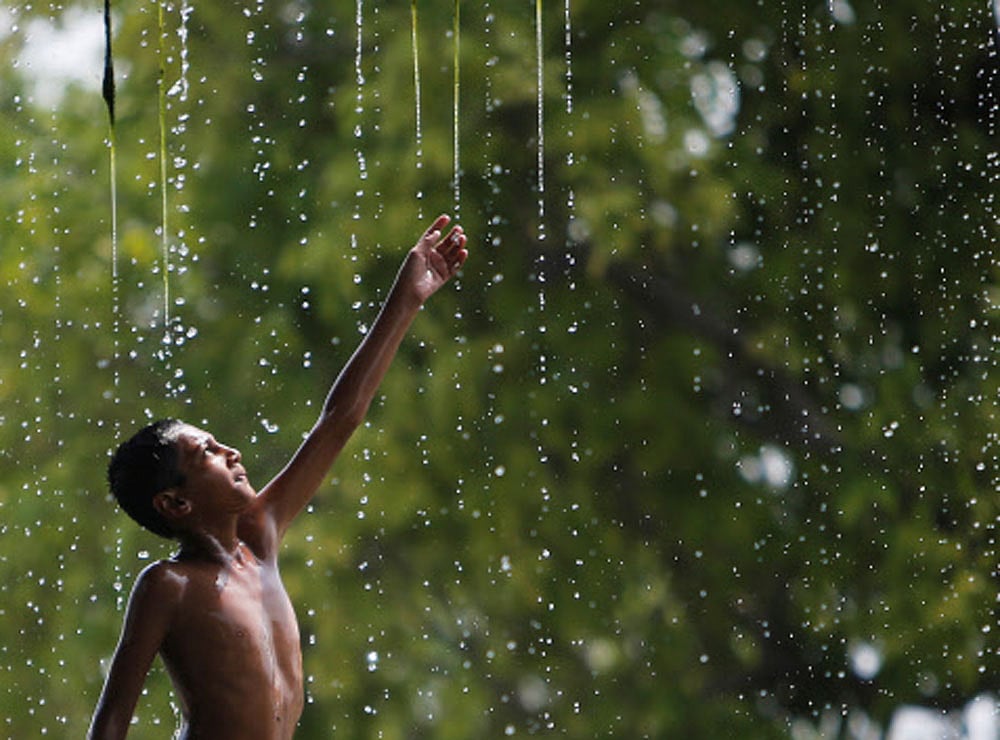 19% excess rain in state; water, fodder woes subside