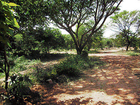 However, it will affect about 250 small towns and cities across the state. Bengaluru region is governed under the Karnataka Municipal Corporations Act, the Bangalore Development Authority Act, the Bangalore Metropolitan Region Development Authority Act, the Bangalore International Airport Planning Authority Act and the Bangalore-Mysore Infrastructure Corridor Planning Authority Act. DH file photo