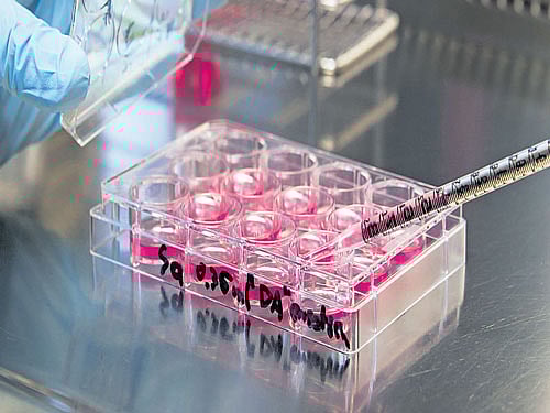 Age reversal, naturally