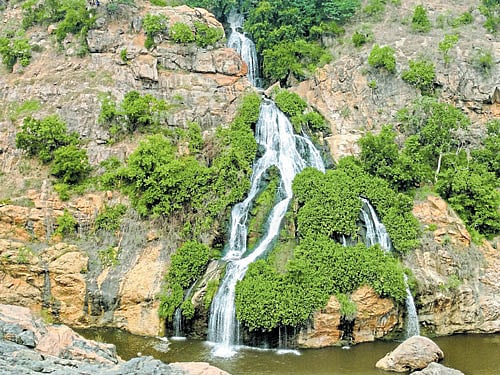 The Chunchi Falls, which is visited by hoardes of tourists over the weekends, lacks railings to support and sign boards that guide to reach the falls, complain tourists. dh photo