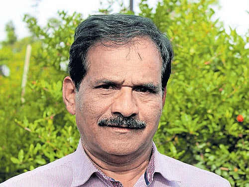 creative Farmer H R Chandre Gowda in his pomegranate farm in Chikkamagaluru district.