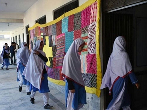 Punjab officials said the government in Pakistan's wealthiest province will initially be providing girls in 1,000 primary schools with four hens, one cock, and a cage. Screengrab