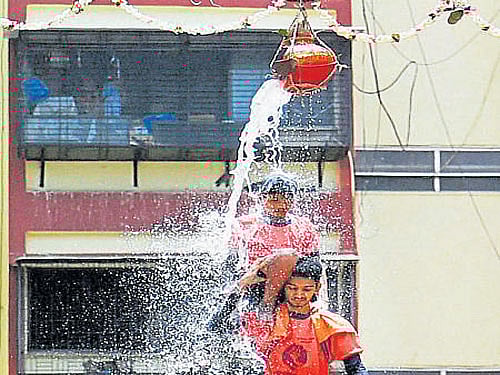 Govindas take part in dahi-handi celebrations in Mumbai on Thursday. PTI
