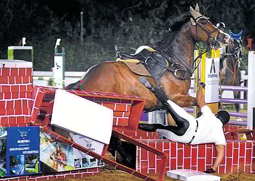 nasty Faiz Rezwan, riding Pat, falls as he attempts to clear the wall on Sunday. DH PHOTO/ KISHOR KUMAR BOLAR